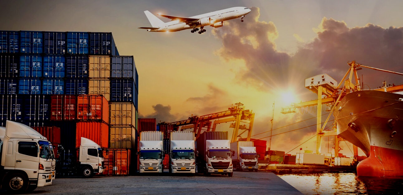 Import / Export